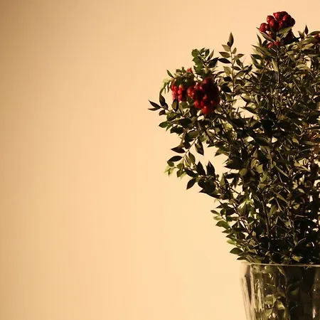 Отель Lavender 3*
