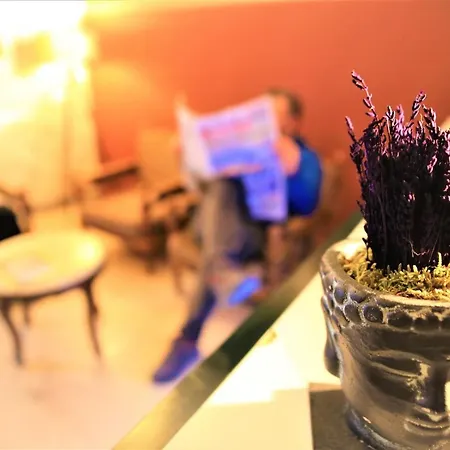 Lavender Cesme