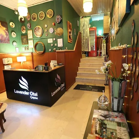 Hotel Lavender