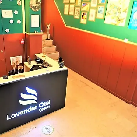 酒店 Lavender